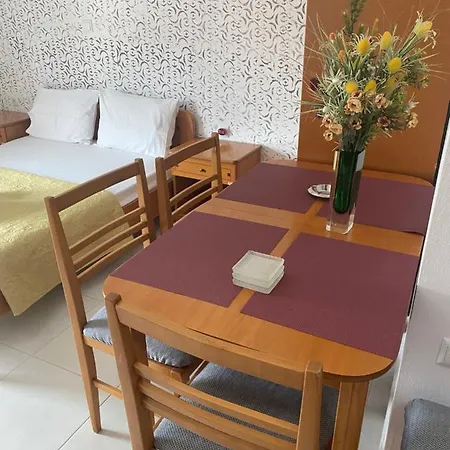Pura Guest house *